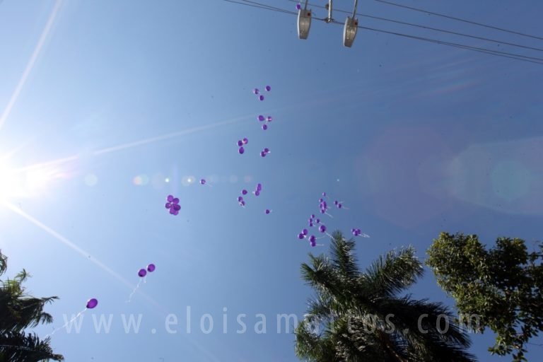 resized_ELO (115)B