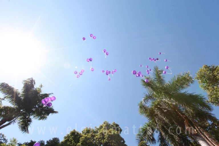resized_ELO (115)C