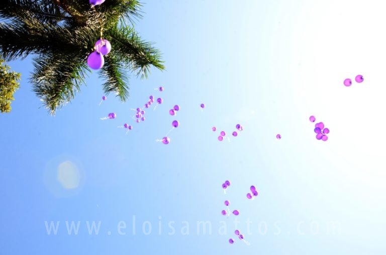resized_ELO (116)