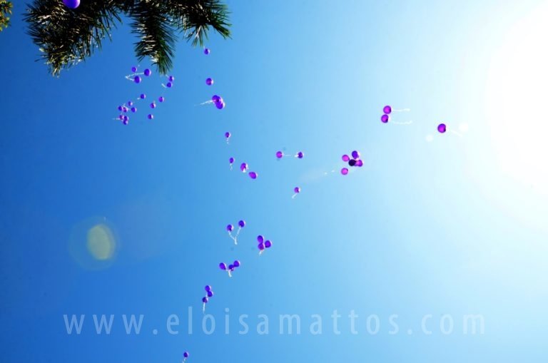 resized_ELO (117)