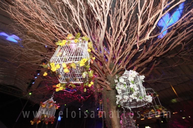 resized_ELO (17)