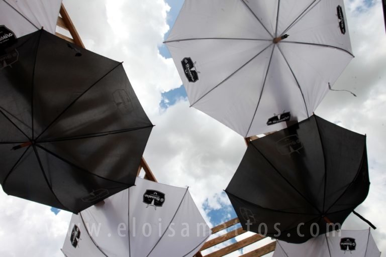 resized_ELOISA 17-03 (86)