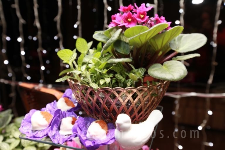 resized_ELO MATTOS (11)
