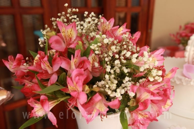 resized_HELENA (113)