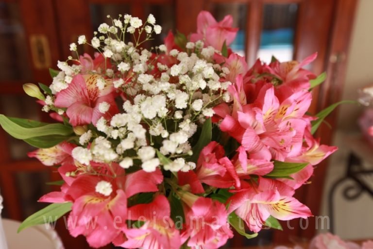 resized_HELENA (89)