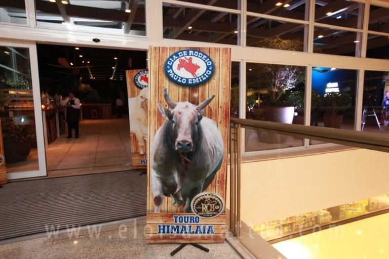 resized_LANÇ.C.BULLS-ELÔ (4)