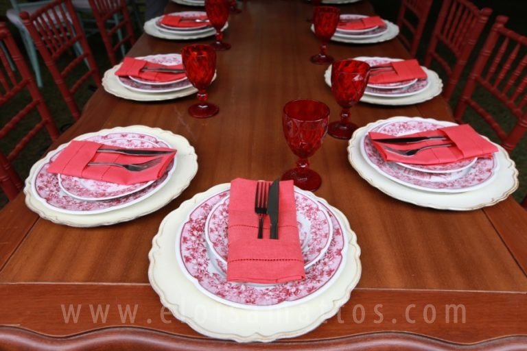 resized_FEIJOMED – ELO MATTOS (44)