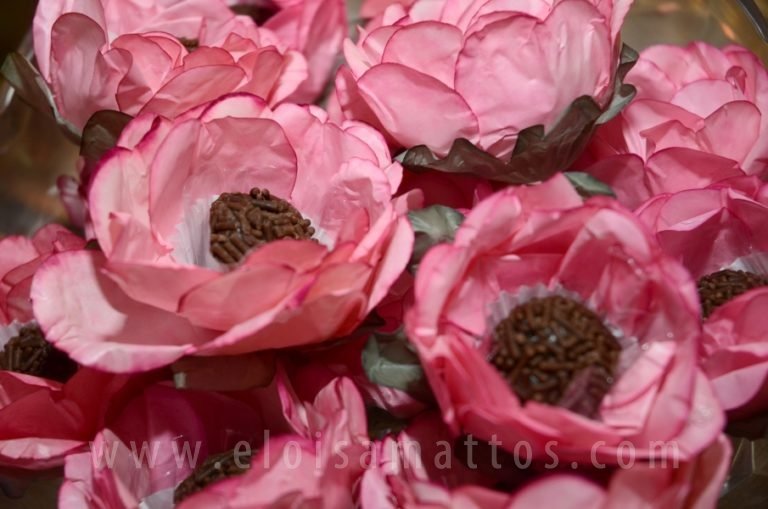 resized_80 ANOS – DONA DIRCE (11)