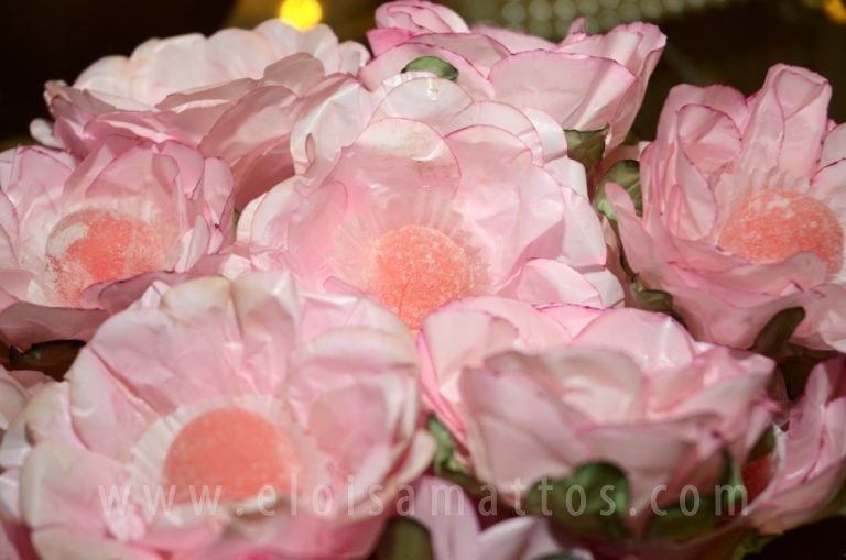 resized_80 ANOS – DONA DIRCE (14)