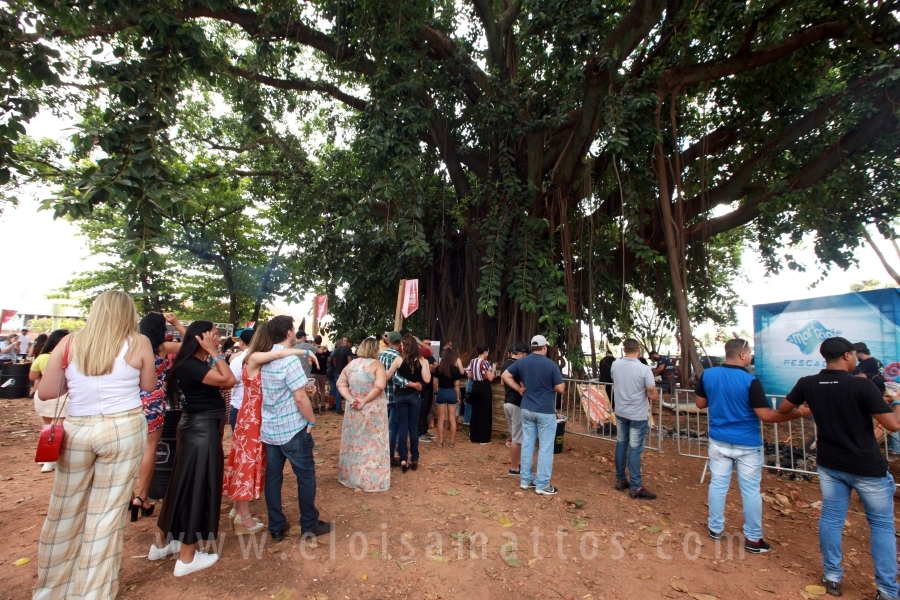 3ª EDIÇÃO DE “O BRASEIRO ENTRE CORTES”-COMPLEXO SWIFT - Eloisa Mattos