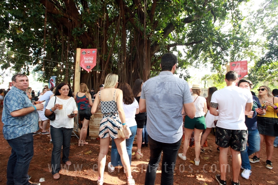 3ª EDIÇÃO DE “O BRASEIRO ENTRE CORTES”-COMPLEXO SWIFT - Eloisa Mattos