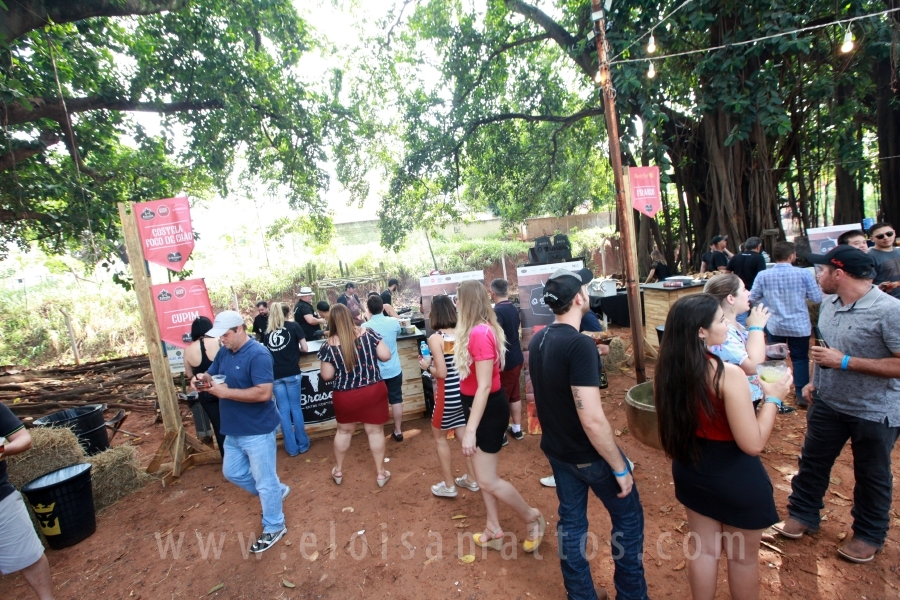 3ª EDIÇÃO DE “O BRASEIRO ENTRE CORTES”-COMPLEXO SWIFT - Eloisa Mattos