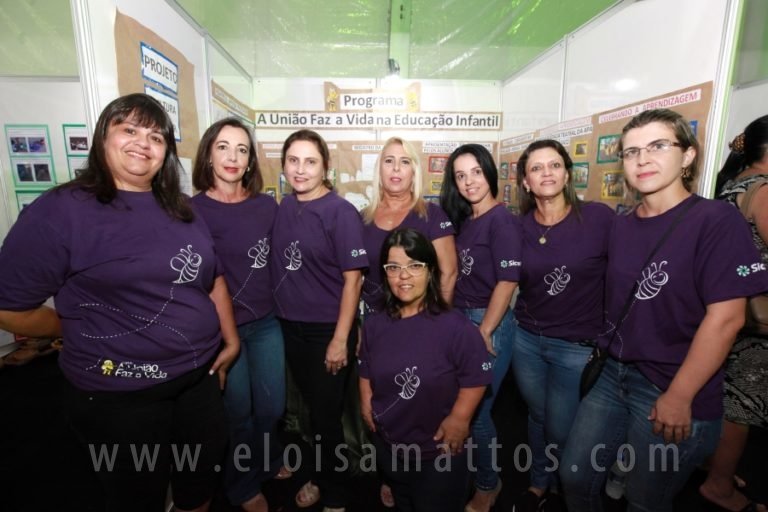 ELO (43)