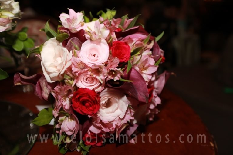 resized_ELOISA MATTOS (470)