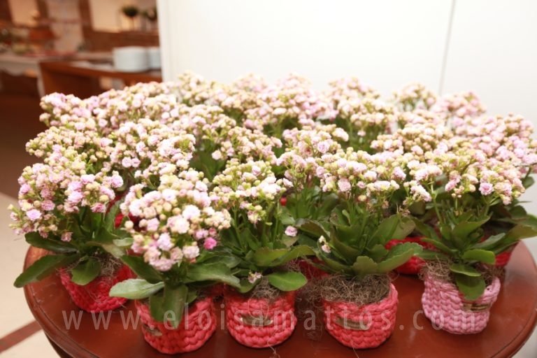resized_ZAIRA100-ELOMATTOS (126)