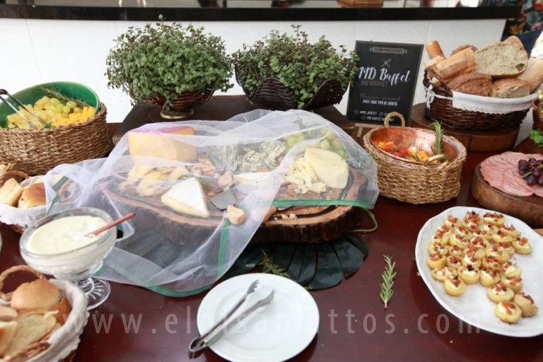 resized_ELO MATTOS (87)