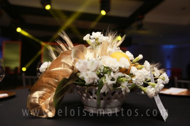 resized_ELOISA MATTOS (48)