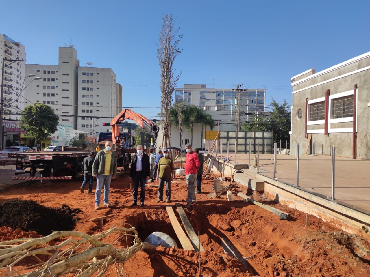 MERCADÃO RECEBE MAIS TRÊS IPÊS QUE COMPÕEM O PROJETO PAISAGÍSTICO