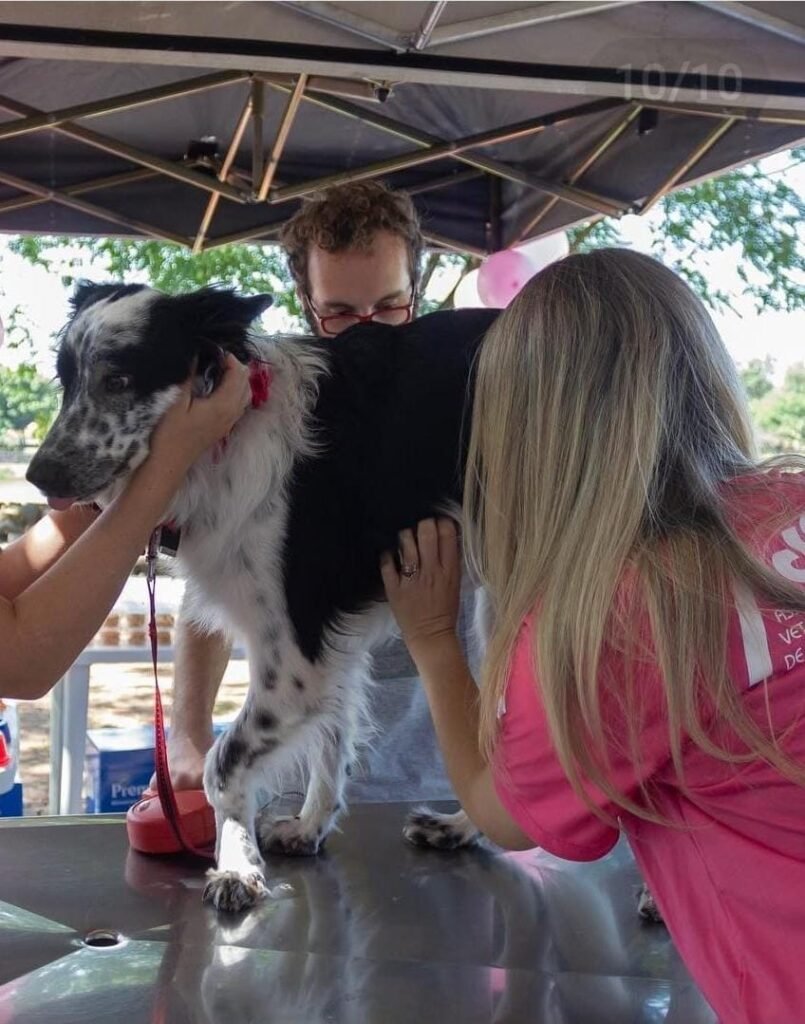 Evento Alerta Sobre Prevenção do Câncer de Mama em Pets