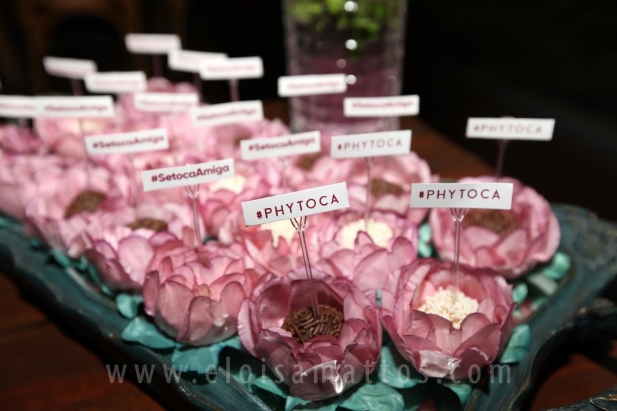 PHYTOCA COSMÉTICOS  REALIZA EVENTO BENEFICENTE AO GRUPO DE APOIO A PESSOAS COM CÂNCER (GAPC) - Eloisa Mattos