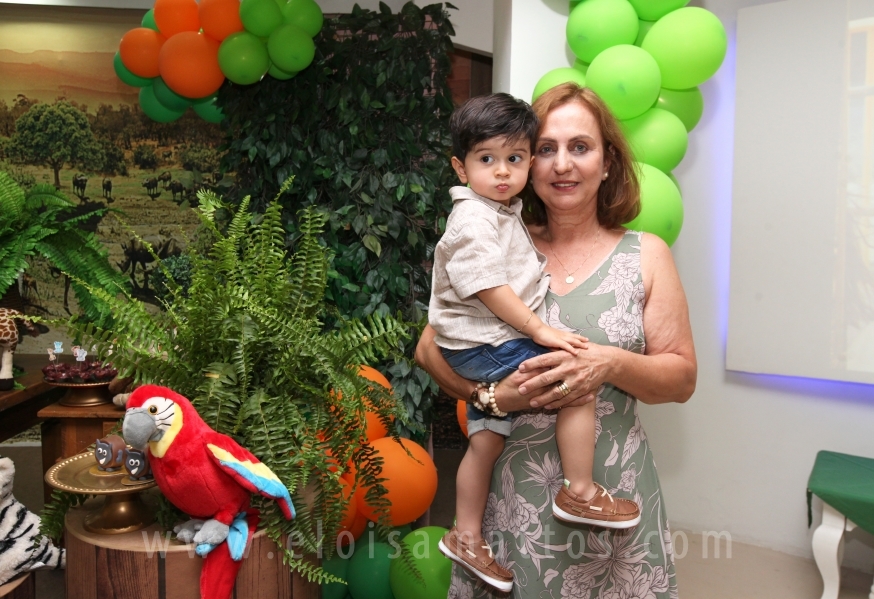 ANIVERSÁRIO DE 2 ANOS DO ANTÔNIO – TEMA “SAFARI, UMA AVENTURA NA SELVA” - Eloisa Mattos