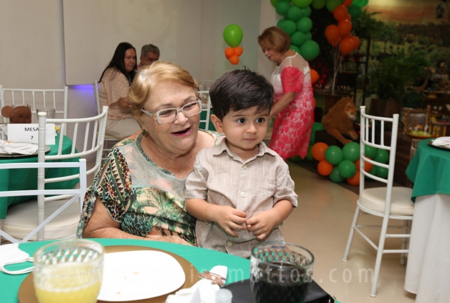 ANIVERSÁRIO DE 2 ANOS DO ANTÔNIO – TEMA “SAFARI, UMA AVENTURA NA SELVA” - Eloisa Mattos