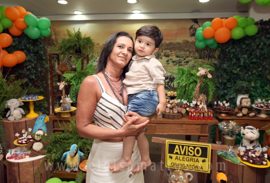 ANIVERSÁRIO DE 2 ANOS DO ANTÔNIO – TEMA “SAFARI, UMA AVENTURA NA SELVA” - Eloisa Mattos