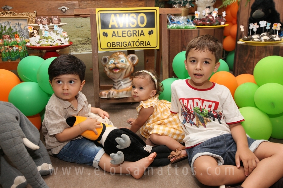 ANIVERSÁRIO DE 2 ANOS DO ANTÔNIO – TEMA “SAFARI, UMA AVENTURA NA SELVA” - Eloisa Mattos