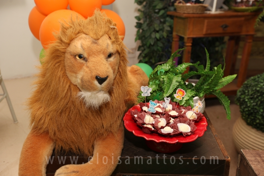 ANIVERSÁRIO DE 2 ANOS DO ANTÔNIO – TEMA “SAFARI, UMA AVENTURA NA SELVA” - Eloisa Mattos