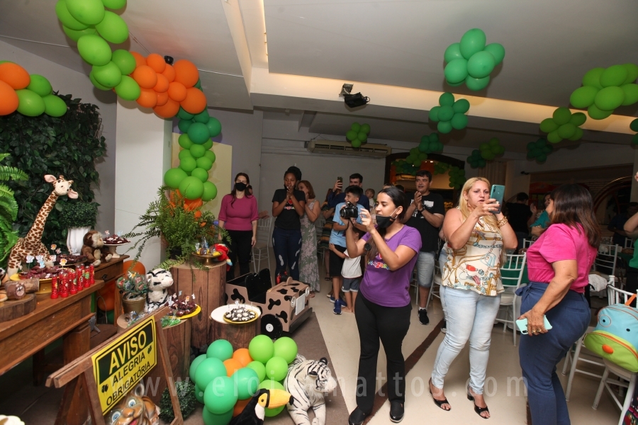 ANIVERSÁRIO DE 2 ANOS DO ANTÔNIO – TEMA “SAFARI, UMA AVENTURA NA SELVA” - Eloisa Mattos