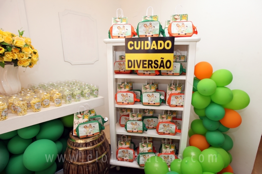 ANIVERSÁRIO DE 2 ANOS DO ANTÔNIO – TEMA “SAFARI, UMA AVENTURA NA SELVA” - Eloisa Mattos