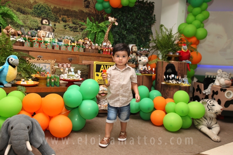 ANIVERSÁRIO DE 2 ANOS DO ANTÔNIO – TEMA “SAFARI, UMA AVENTURA NA SELVA” - Eloisa Mattos