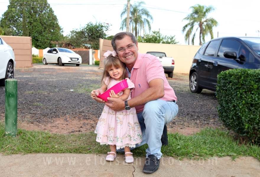 ANIVERSÁRIO DE 2 ANOS DE LÍVIA PAVAN PARISE - Eloisa Mattos