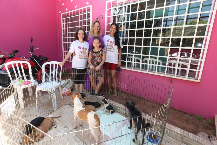 16 ANOS DO PET DOG CAFÉ – JULIANA GABARRON - Eloisa Mattos