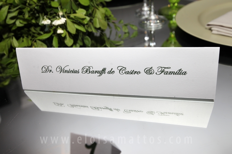 FESTA EM DOSE DUPLA – FORMATURA E ANIVERSÁRIO DE VINÍCIUS BARUFFI DE CASTRO - Eloisa Mattos