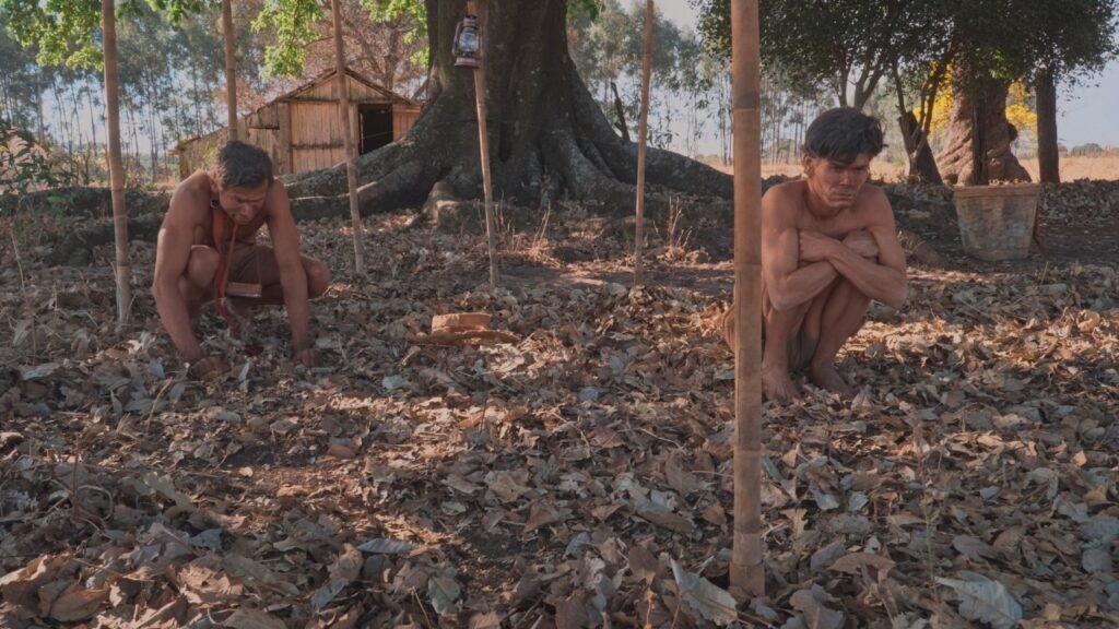 Miguilim Mutum – O Filme Faz Estreia Nacional Gratuita no SESC Rio Preto
