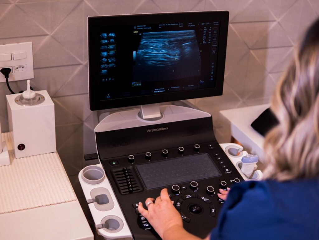 Ultrasonografia Permite Diagnóstico Rápido e Preciso em Caso de Ingestão de Objetos por Animais de Estimação