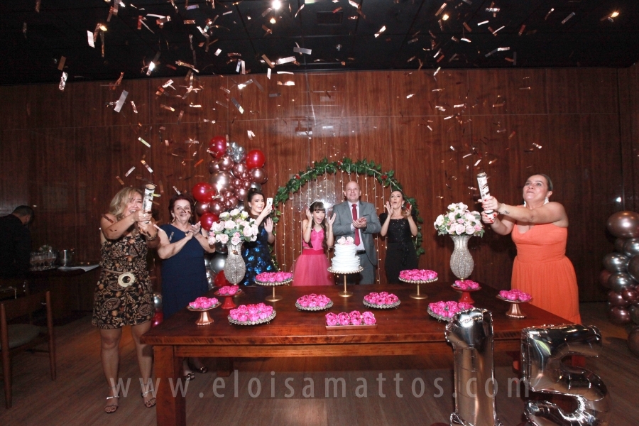 FESTA DE 15 ANOS DE JÚLIA NOVELLI SANFELICE - Eloisa Mattos