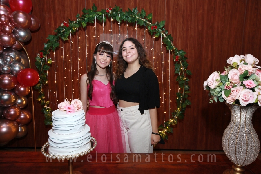 FESTA DE 15 ANOS DE JÚLIA NOVELLI SANFELICE - Eloisa Mattos