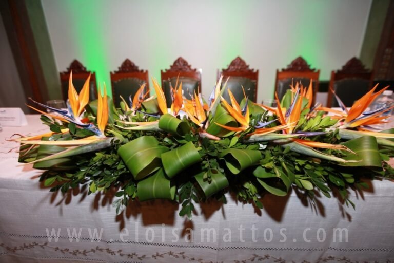 SMC -ELOISA MATTOS (10)