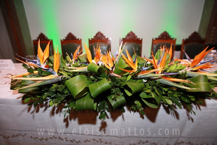 HOMENAGEM DA SMC AOS MÉDICOS E PROFISSIONAIS DA SAÚDE QUE TRABALHARAM NA LUTA CONTRA O COVID-19 - Eloisa Mattos