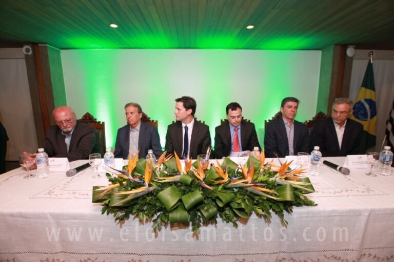 SMC -ELOISA MATTOS (40)