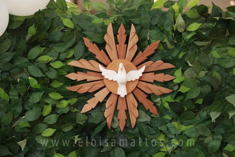 BATIZADO DE CATARINA NABUCO MARTINS – BASÍLICA MENOR APARECIDA - Eloisa Mattos
