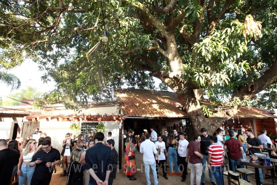 1ª EDIÇÃO DA FEIJOADA DO PANDA - Eloisa Mattos