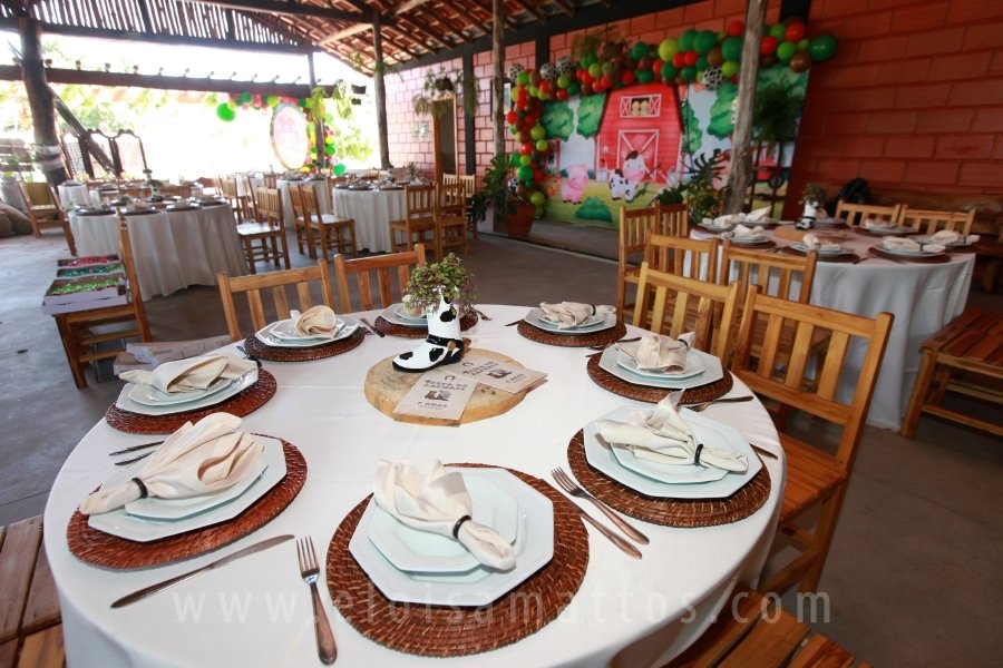 RAPHAEL B. RAPHE 5 ANOS – “FESTA NA FAZENDA” - Eloisa Mattos
