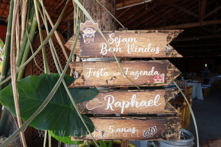 RAPHAEL B. RAPHE 5 ANOS – “FESTA NA FAZENDA” - Eloisa Mattos