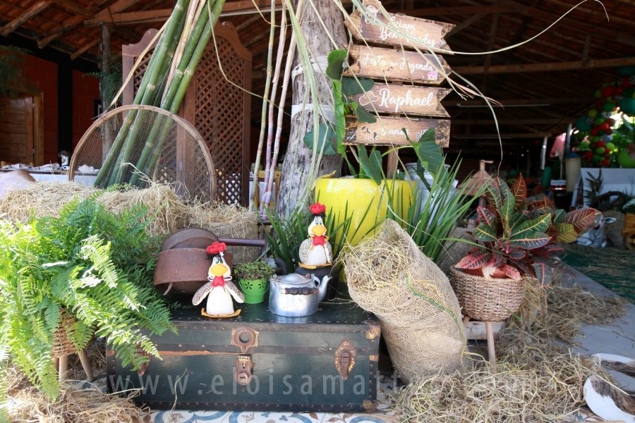 RAPHAEL B. RAPHE 5 ANOS – “FESTA NA FAZENDA” - Eloisa Mattos