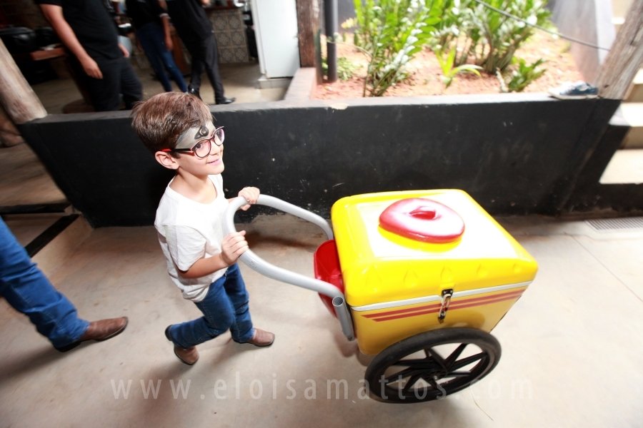 RAPHAEL B. RAPHE 5 ANOS – “FESTA NA FAZENDA” - Eloisa Mattos
