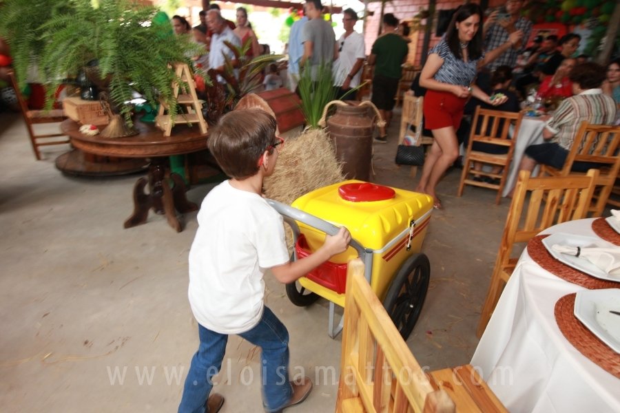RAPHAEL B. RAPHE 5 ANOS – “FESTA NA FAZENDA” - Eloisa Mattos