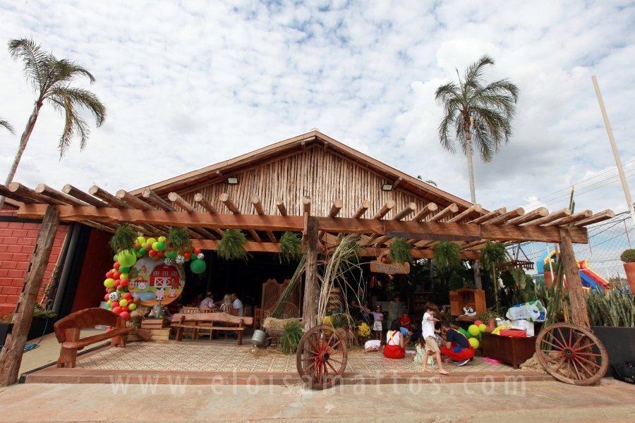 RAPHAEL B. RAPHE 5 ANOS – “FESTA NA FAZENDA” - Eloisa Mattos